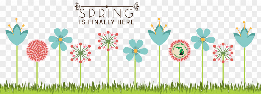 Humor Spring Floral Design Flowering Plant PNG