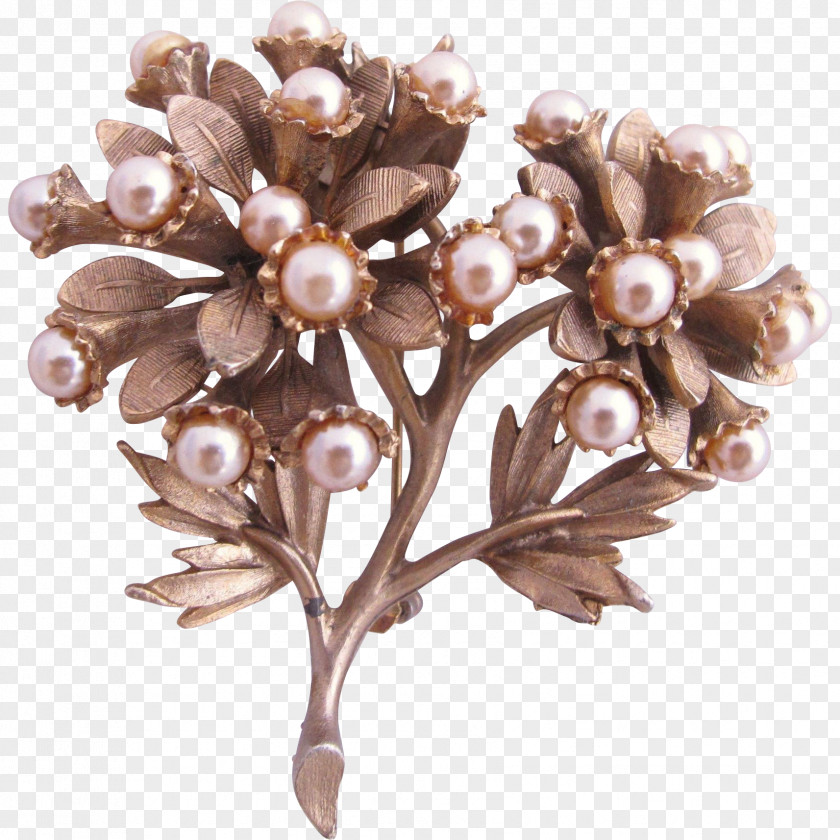 Jewellery Imitation Pearl Brooch Brown PNG