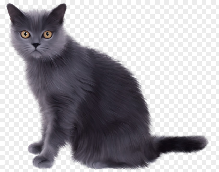 One Legged Kitten Clip Art Persian Cat Munchkin Siamese PNG