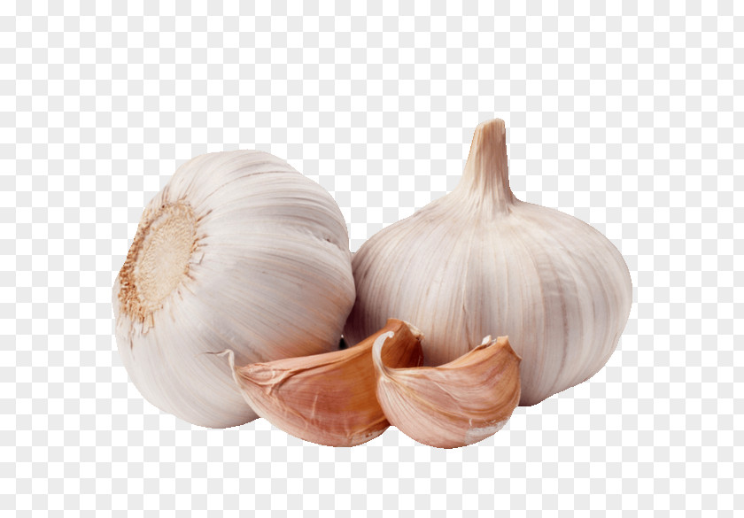 Onion Garlic Clip Art PNG