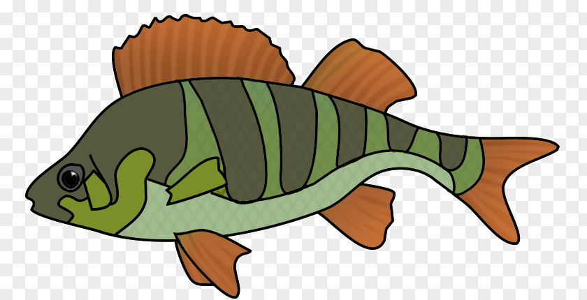 Orange Fish Reptile Cartoon Perch Tail Clip Art PNG