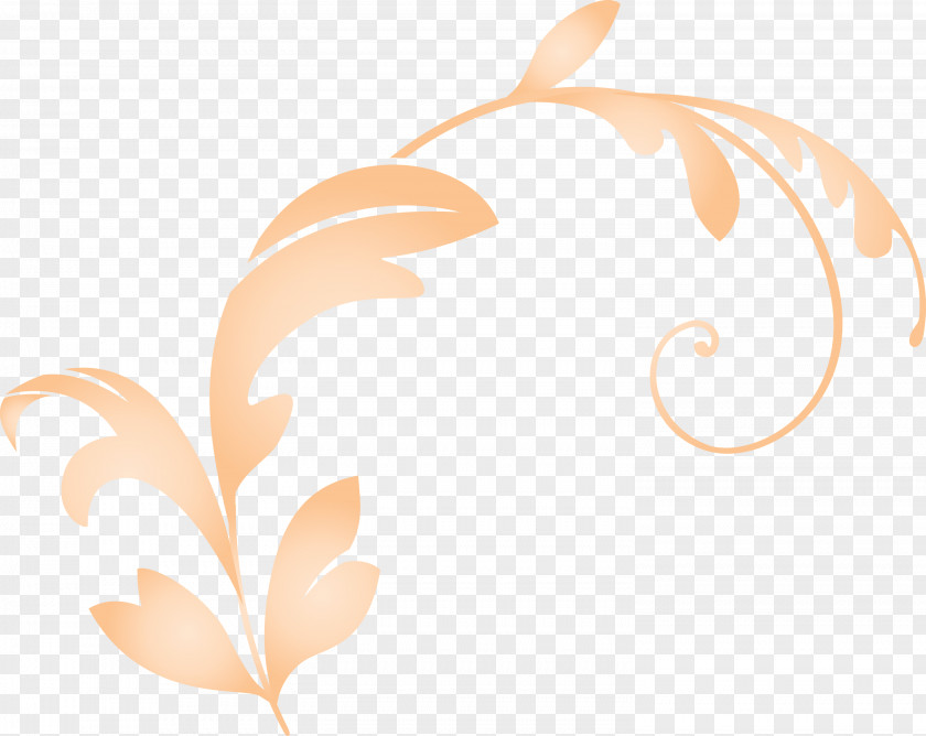 Spring Frame Decoration PNG