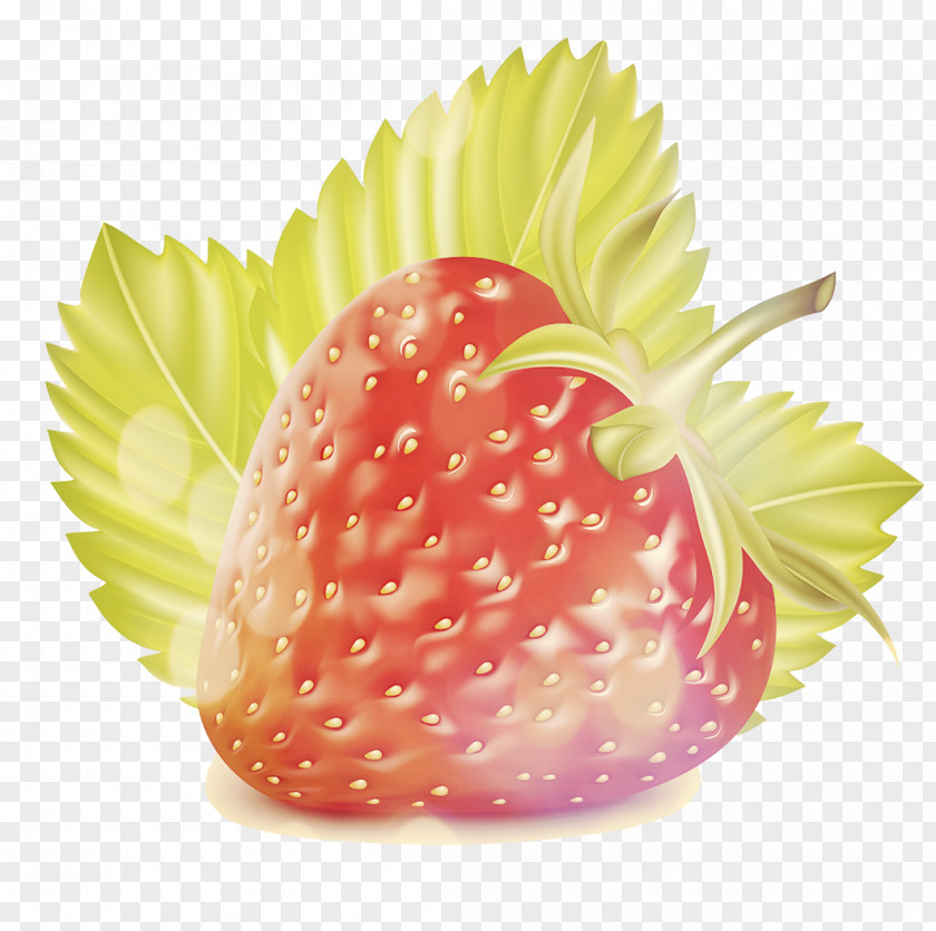Strawberry Fruit Natural Foods Vegetable Coloring Book PNG