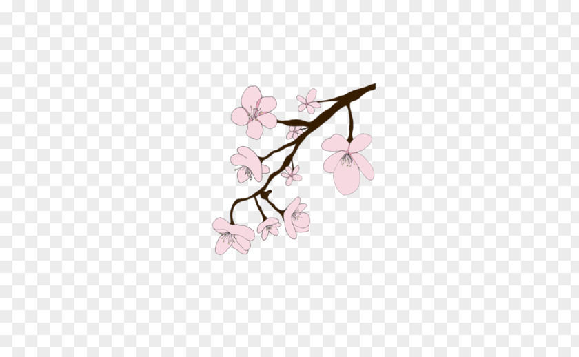Cherry Blossom T-shirt Flower PNG