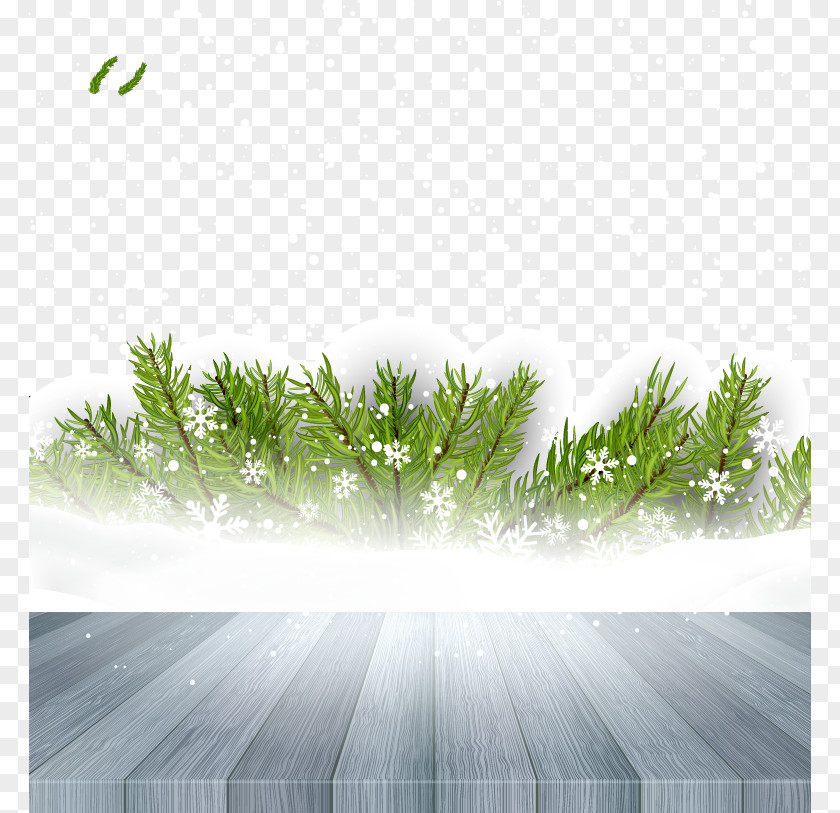 Gray Snow On The Floor Clip Art PNG