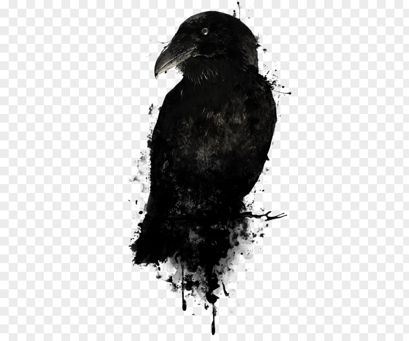 The Raven Canvas Print American Crow Art PNG