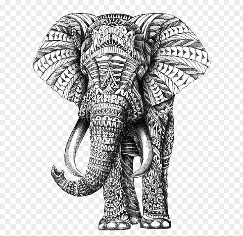 Design Drawing Elephantidae Pattern PNG