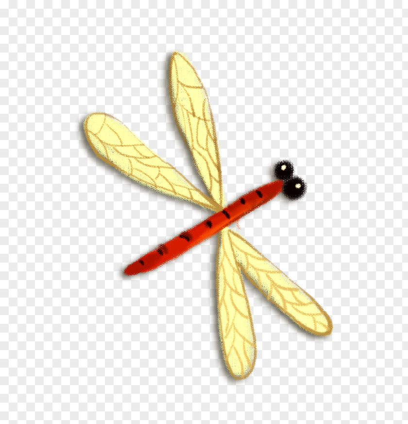 Flying Dragonfly Insect PNG