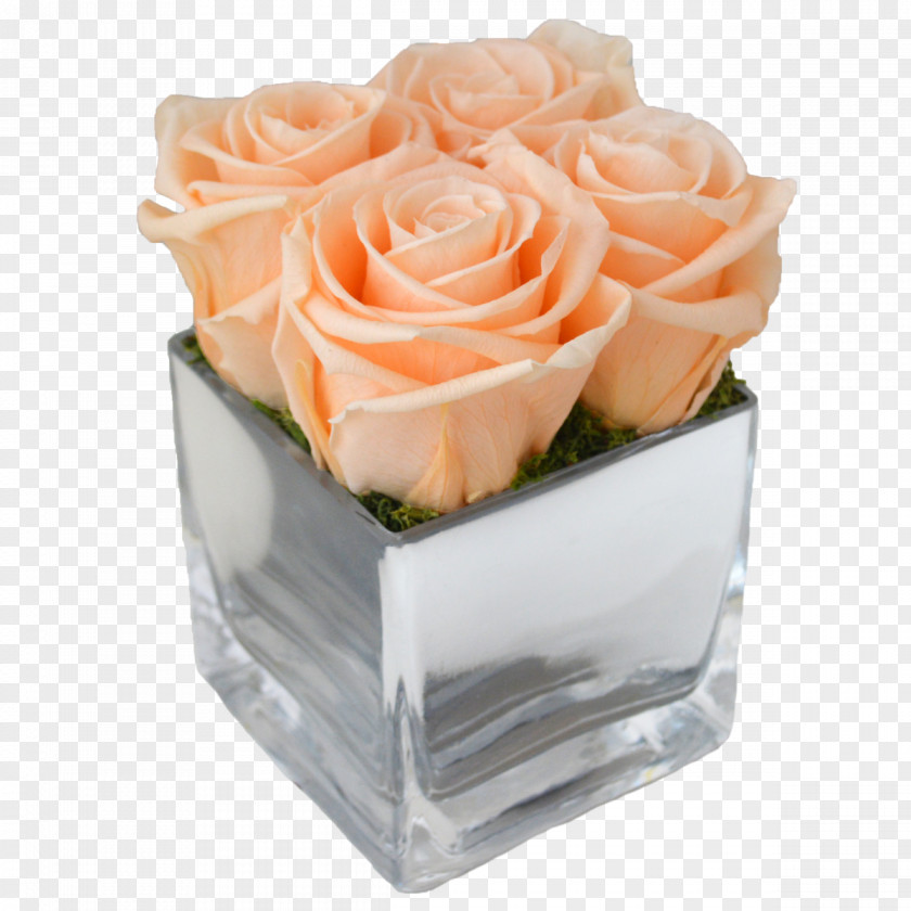 Mint Julep Garden Roses Cut Flowers Four PNG