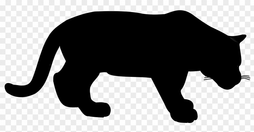 Whiskers Cat Black Panther Bear Dog PNG