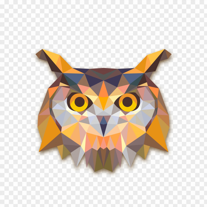 Beaver Owl Geometry Triangle PNG