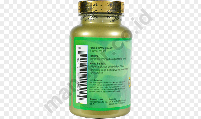 Ginkgo-biloba Salmon As Food Omega-3 Fatty Acids Calcium Nutrient Dietary Supplement PNG