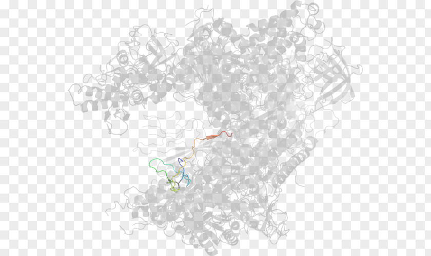 Map Line Tuberculosis PNG