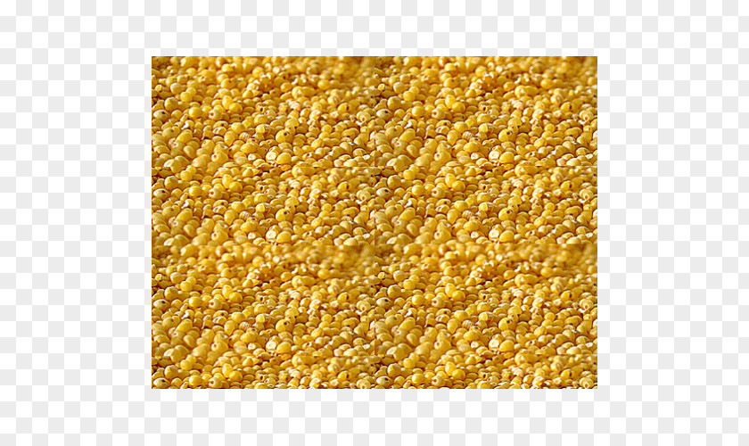 Millet Foxtail Pearl Proso Manufacturing PNG