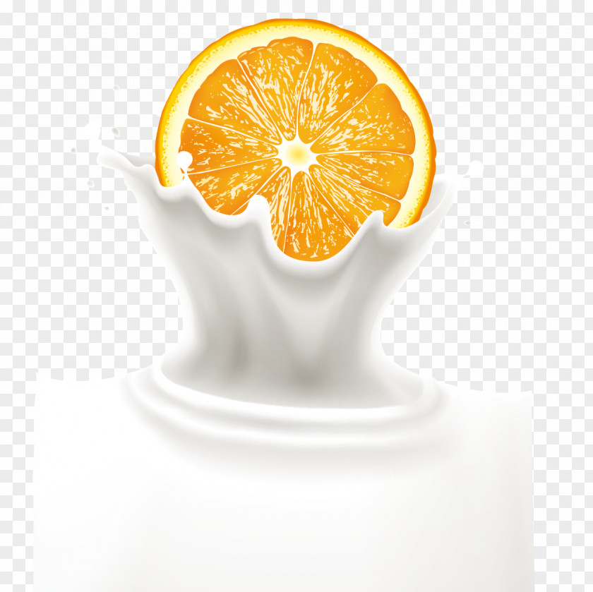 Oranges And Milk Splash Vector Orange Juice Drink PNG