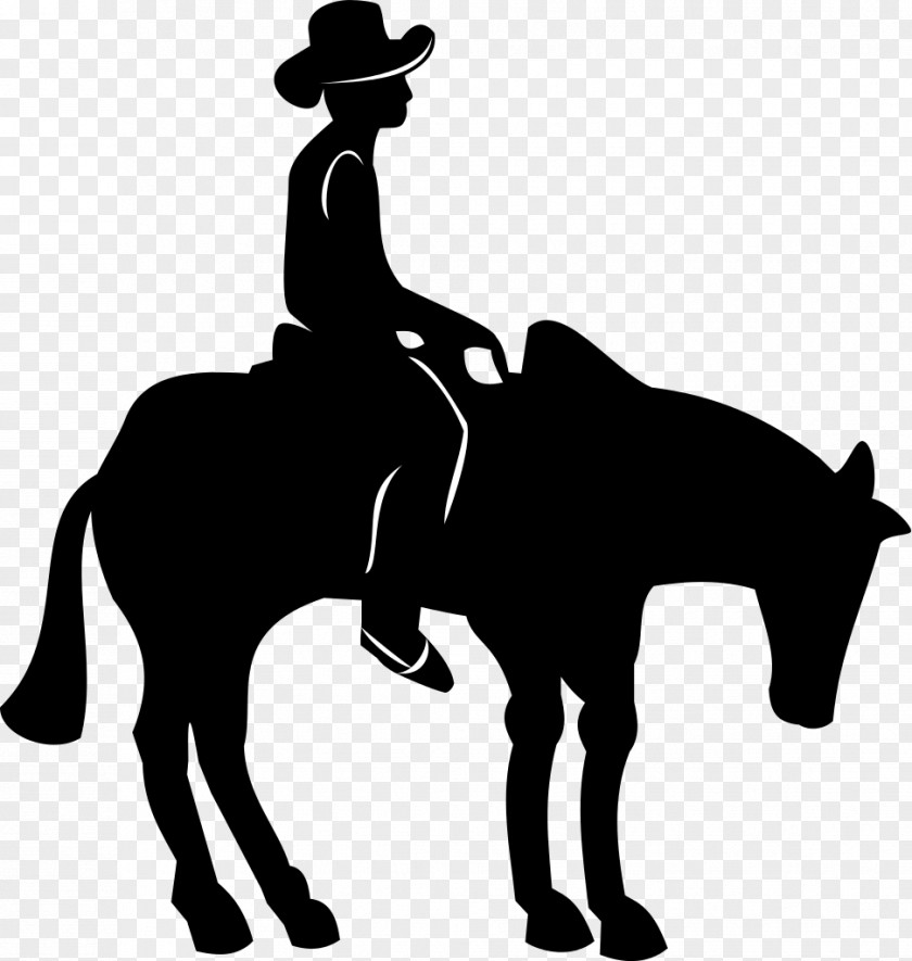 Rider American Quarter Horse Appaloosa Western Pleasure Equestrian Clip Art PNG