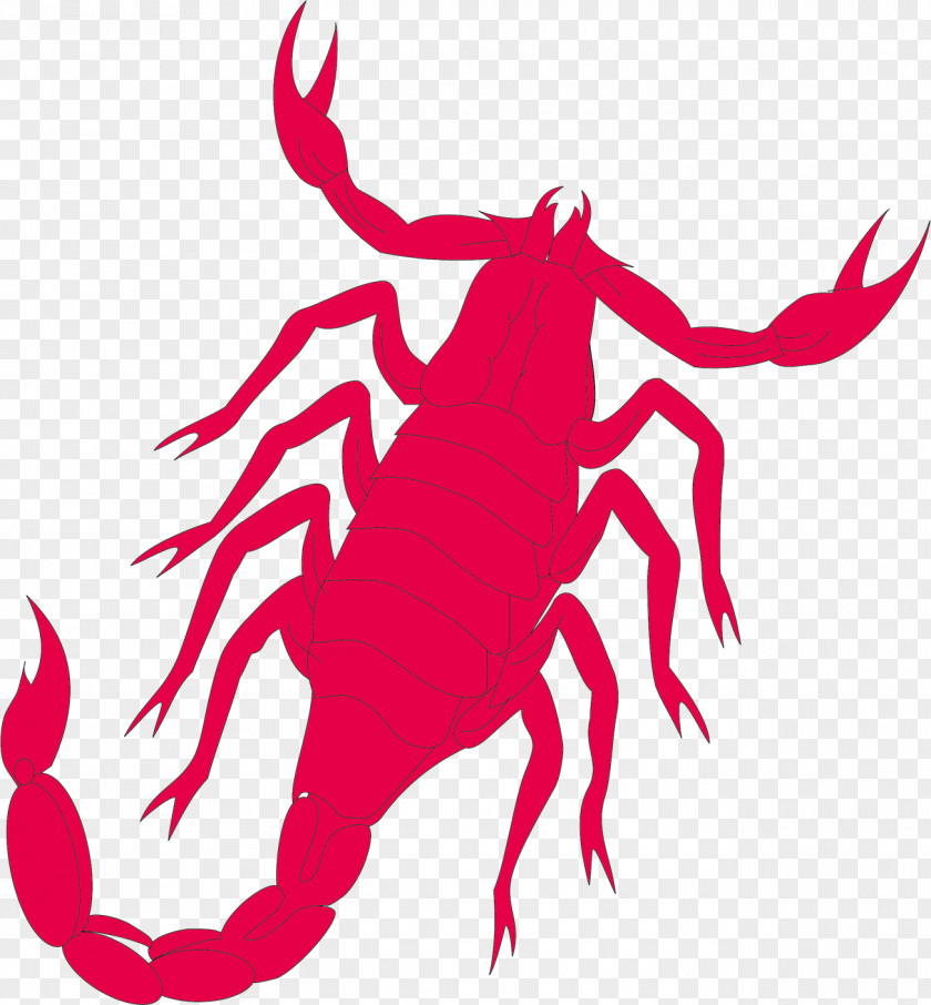 Taurus Scorpio Horoscope Astrological Sign Zodiac Astrology PNG