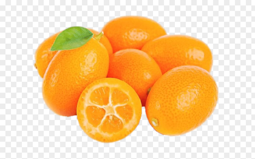Vegetable Kumquat Fruit Citrus Margarita Lemon PNG