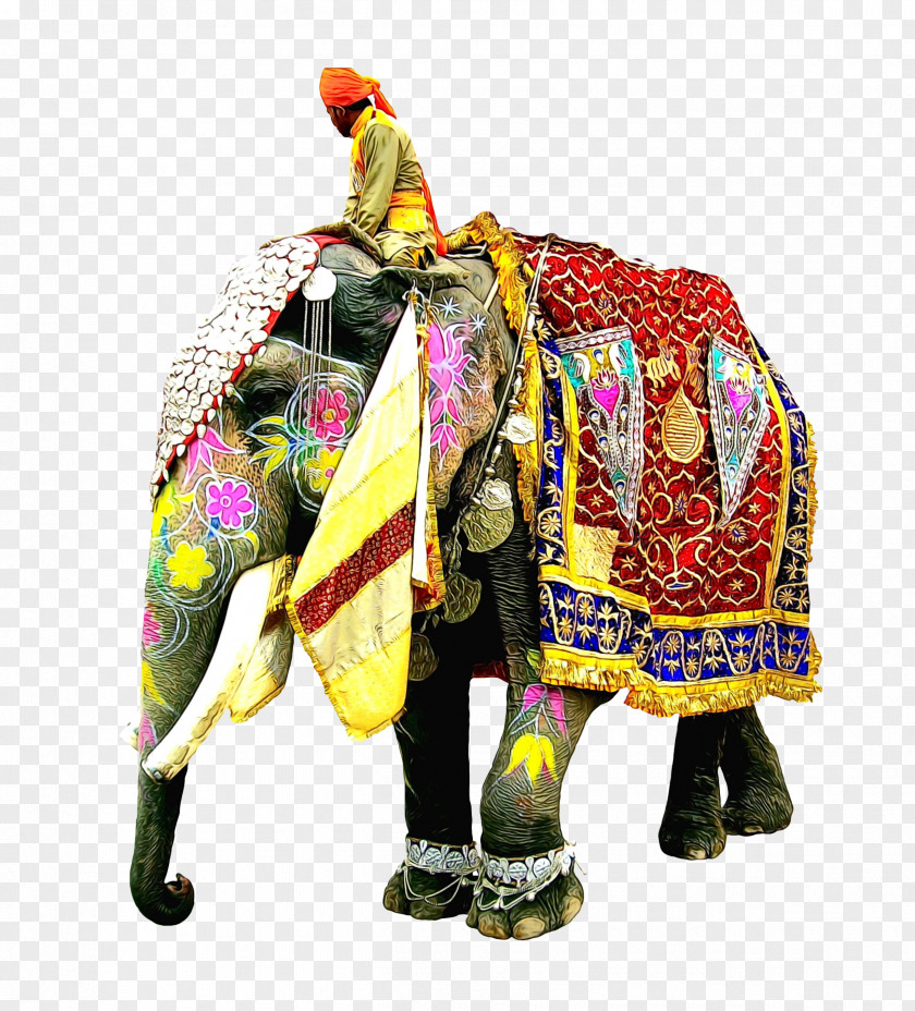 African Elephant Outerwear New Year Cartoon PNG