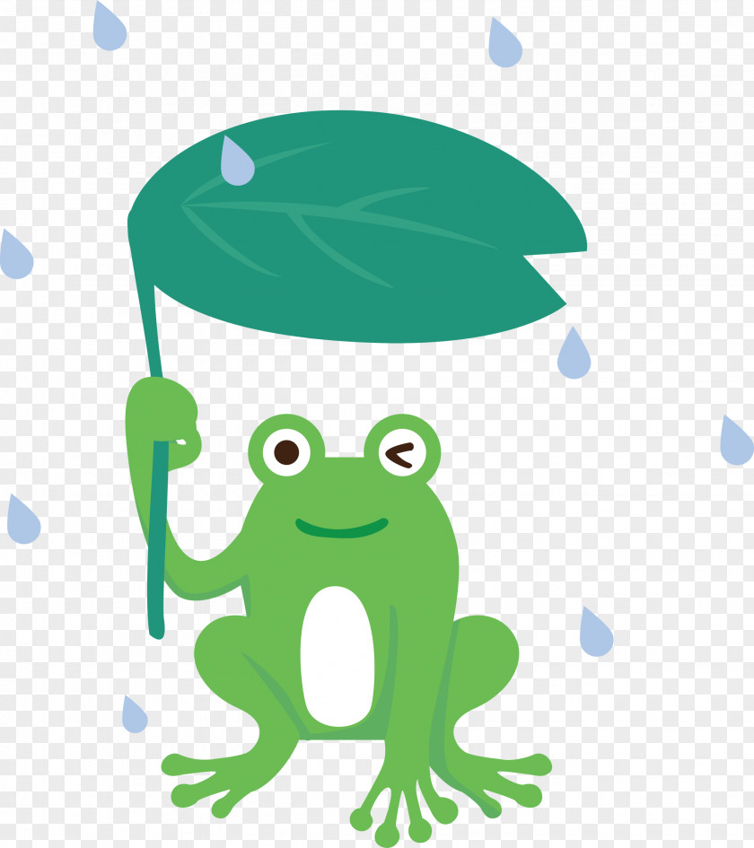 Frogs Tree Frog Logo Cartoon Meter PNG