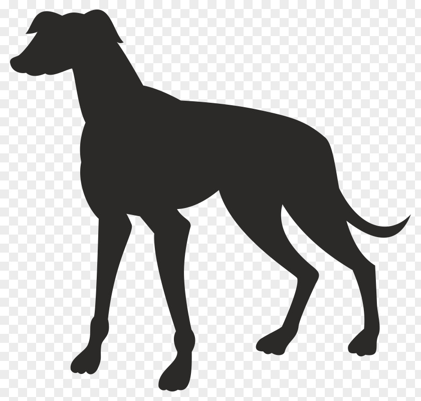 Greyhound Illustration Lines Vector Graphics Royalty-free Image PNG