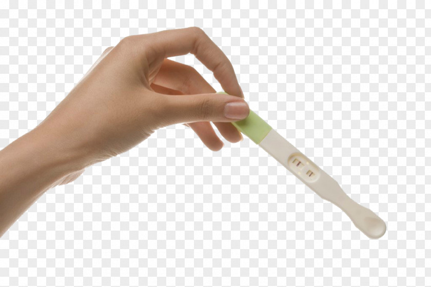 Holding A Pregnancy Test Fetus Ovulation Childbirth PNG