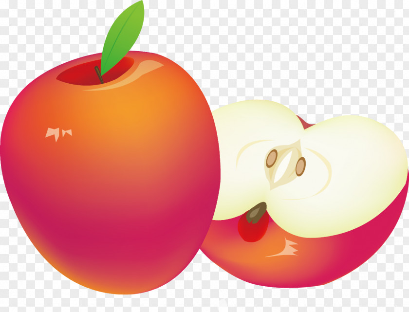 Autumn Life Icon Apple PNG