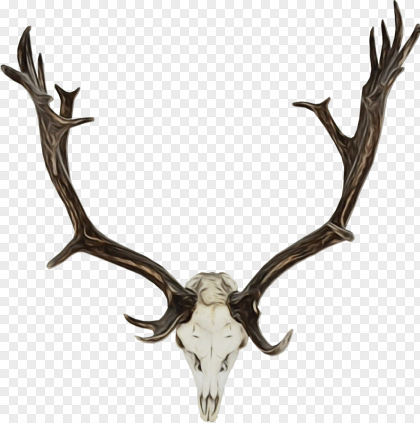 Bone Natural Material Reindeer PNG