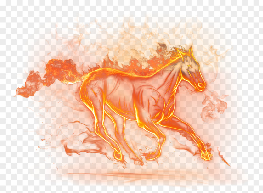 Horse Clip Art Ghoray Shah Image PNG