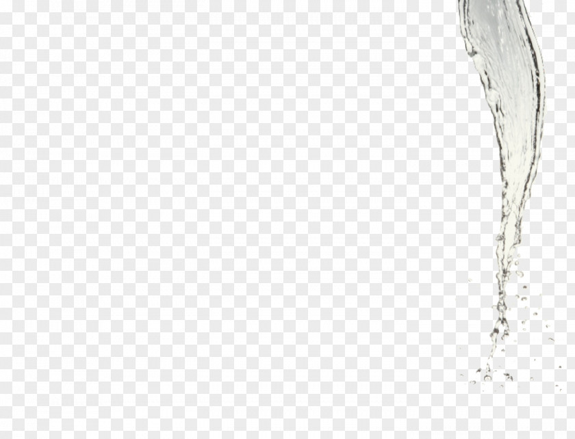 Pouring Body Jewellery Twig Water PNG
