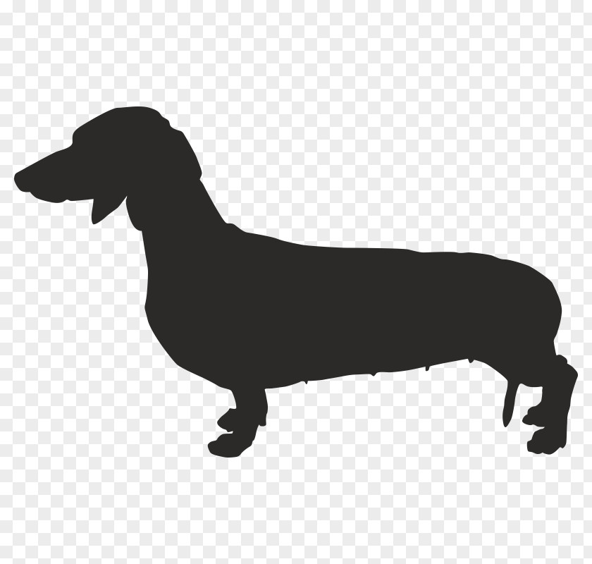 Puppy Dachshund French Bulldog Chihuahua PNG