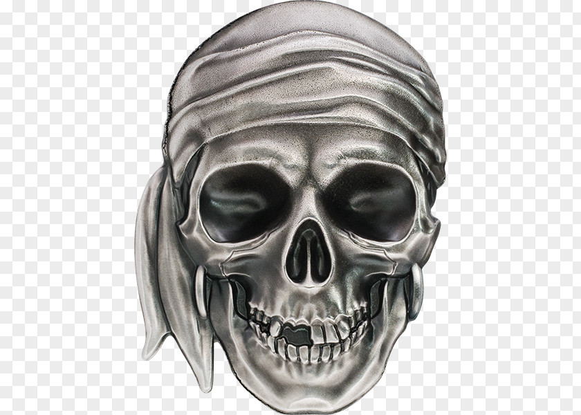 Silver Coin Skull Gold PNG