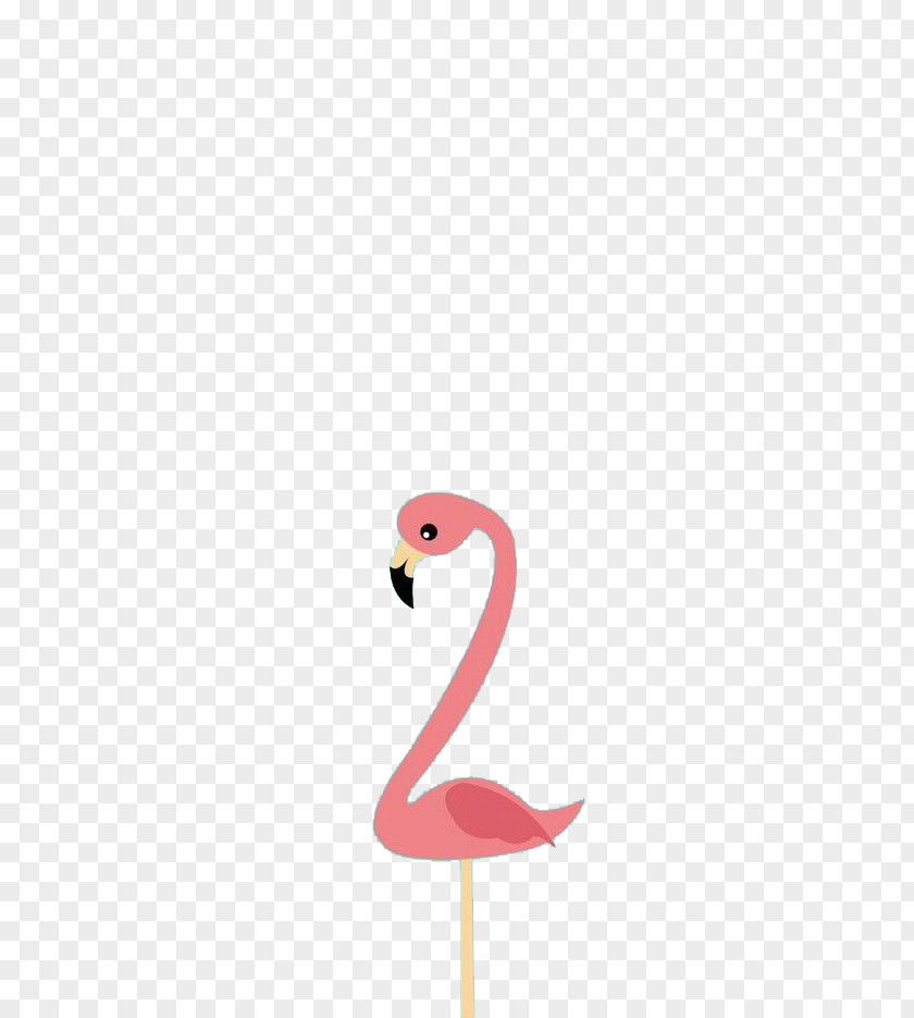 Toon Flamingo Cartoon Bird Illustration PNG