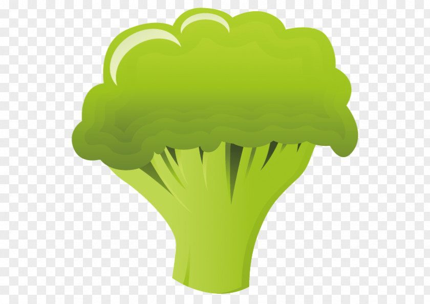 Vector Broccoli Cauliflower Food Illustration PNG