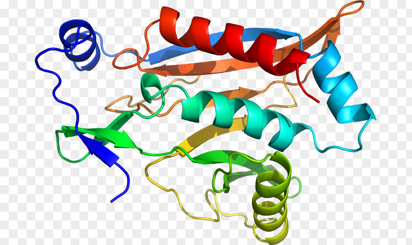 Benzylpenicillin Chloramphenicol Quizlet Organism Clip Art PNG