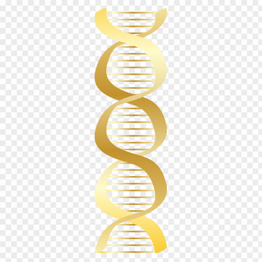 Dna Clip Art Vector Graphics Image PNG