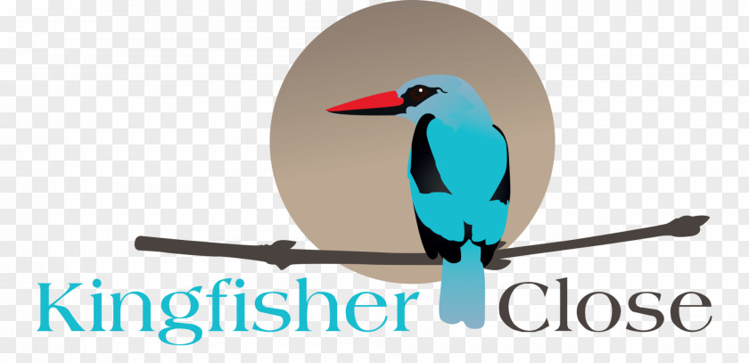 Douglasdale, Gauteng Kingfisher Drive Logo Brand PNG