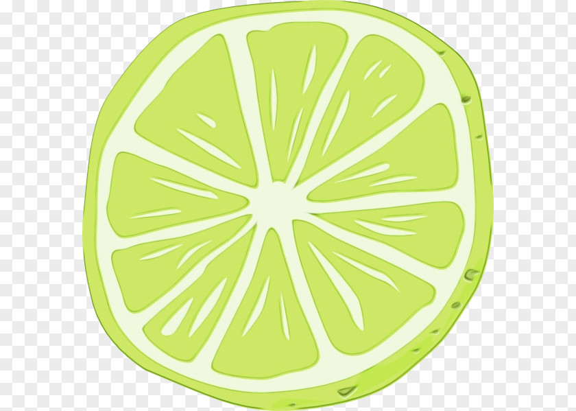 Fruit Plant Green Citrus Yellow Lemon Leaf PNG