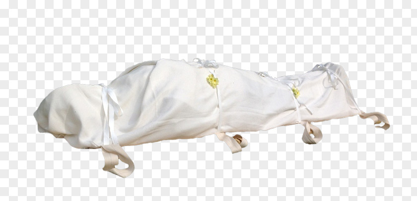 Funeral Natural Burial Shroud Cremation Coffin PNG