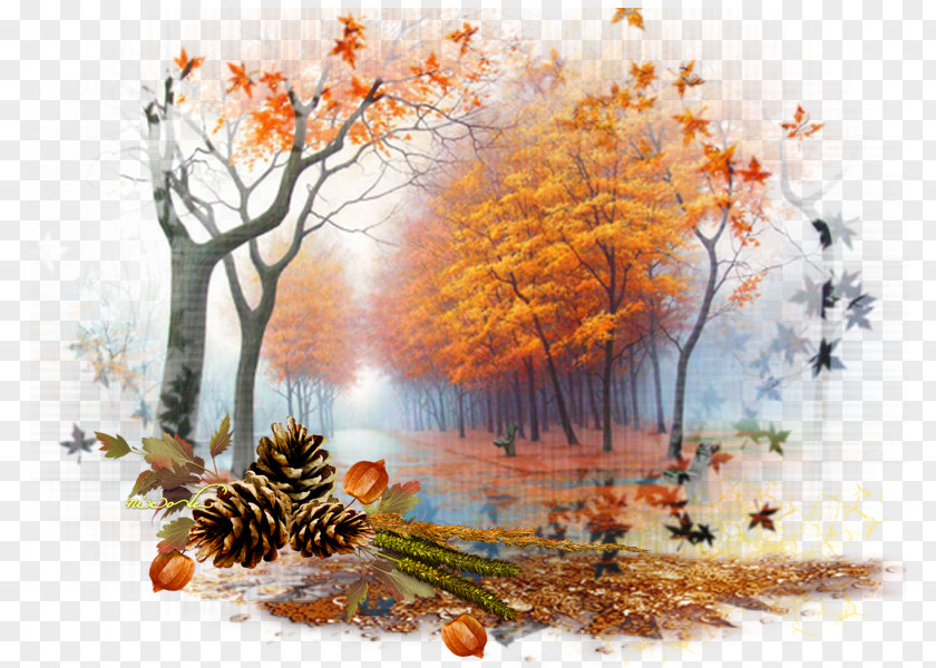 La Vie Est Belle Desktop Wallpaper Nature Autumn Landscape PNG