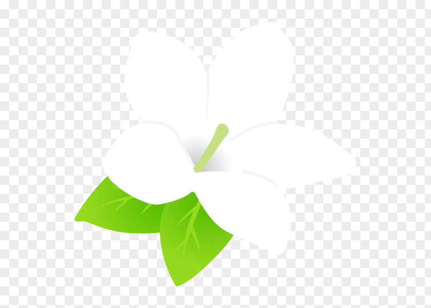 Logo Leaf Clip Art Font Product Design PNG