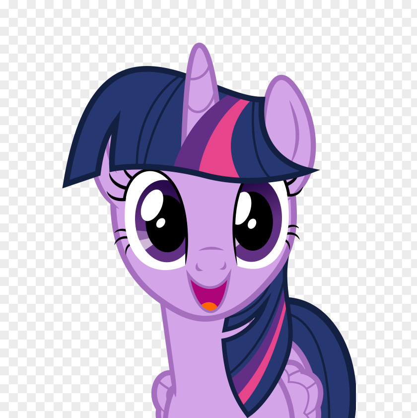 My Little Pony Twilight Sparkle Pinkie Pie Spike Rarity PNG
