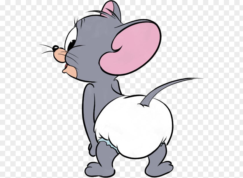 Tom And Jerry Nibbles Cat Looney Tunes Character PNG