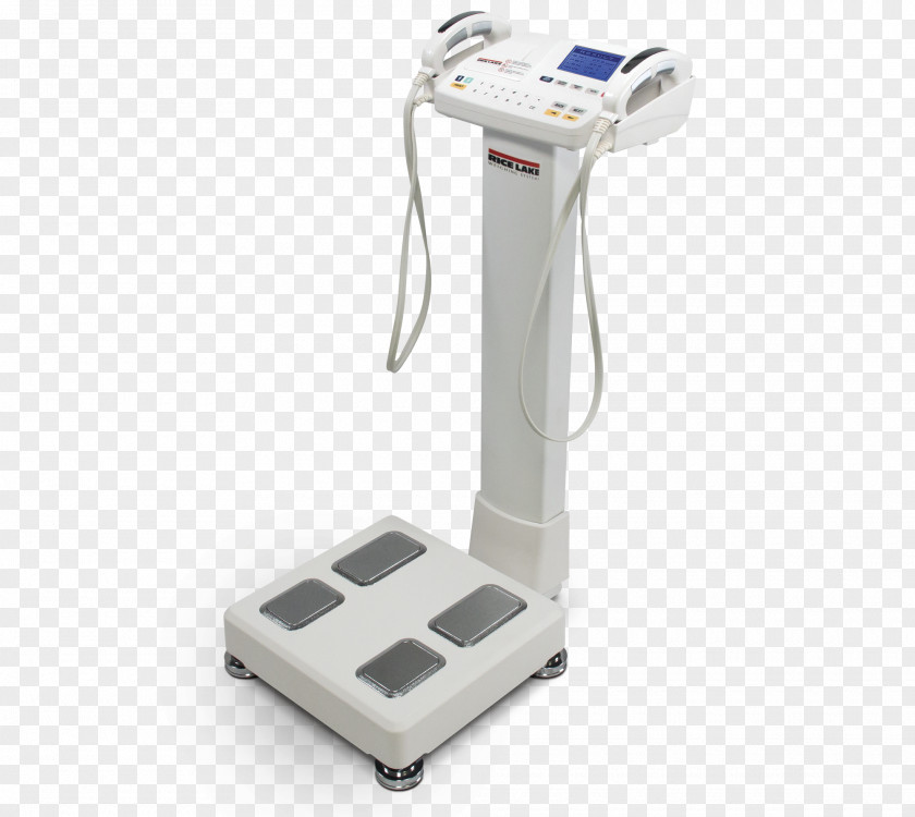 Body Composition Bioelectrical Impedance Analysis Human Adipose Tissue Fat Percentage PNG