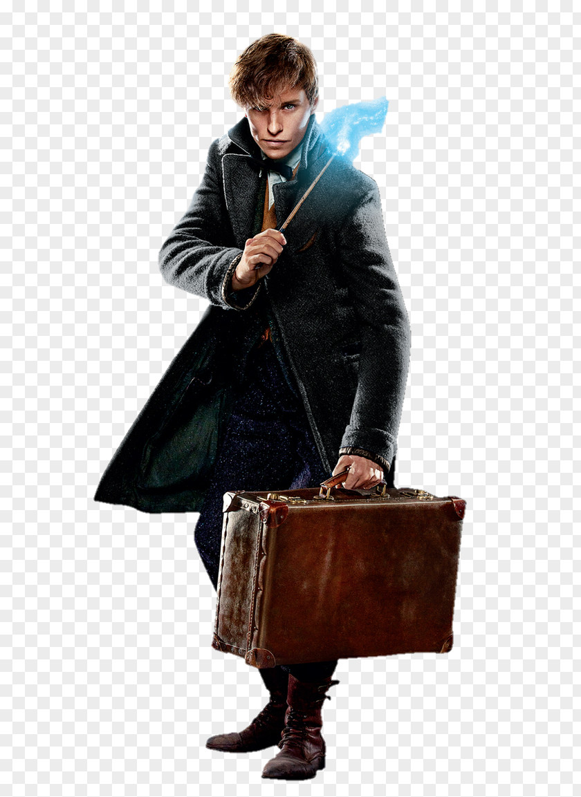 Harry Potter Newt Scamander Fantastic Beasts: The Crimes Of Grindelwald Beasts And Where To Find Them Professor Albus Dumbledore Deathly Hallows PNG