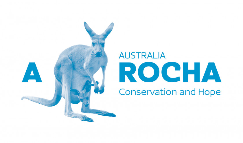 Kangaroo England Aotearoa A Rocha Charitable Organization Conservation PNG