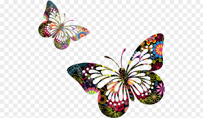 Kupu Vector Clipart Clip Art Brush-footed Butterflies Graphics Transparency PNG