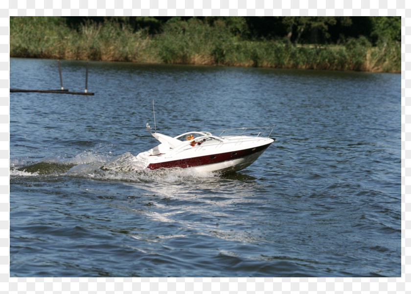 Boat Plant Community Waterway Inlet Boating PNG