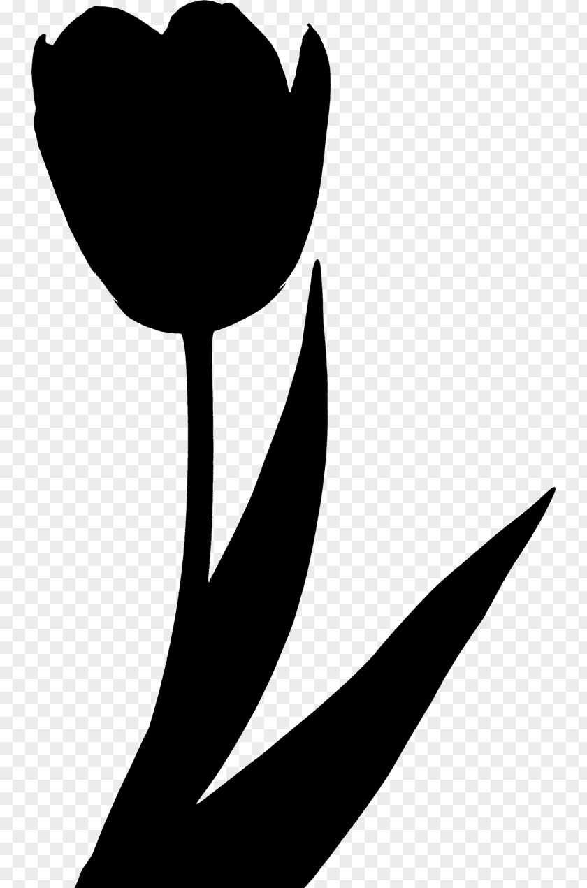 Clip Art Silhouette Leaf Flowering Plant Plants PNG