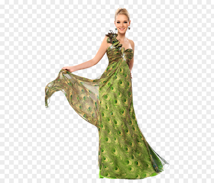 Dress Cocktail Evening Gown PNG